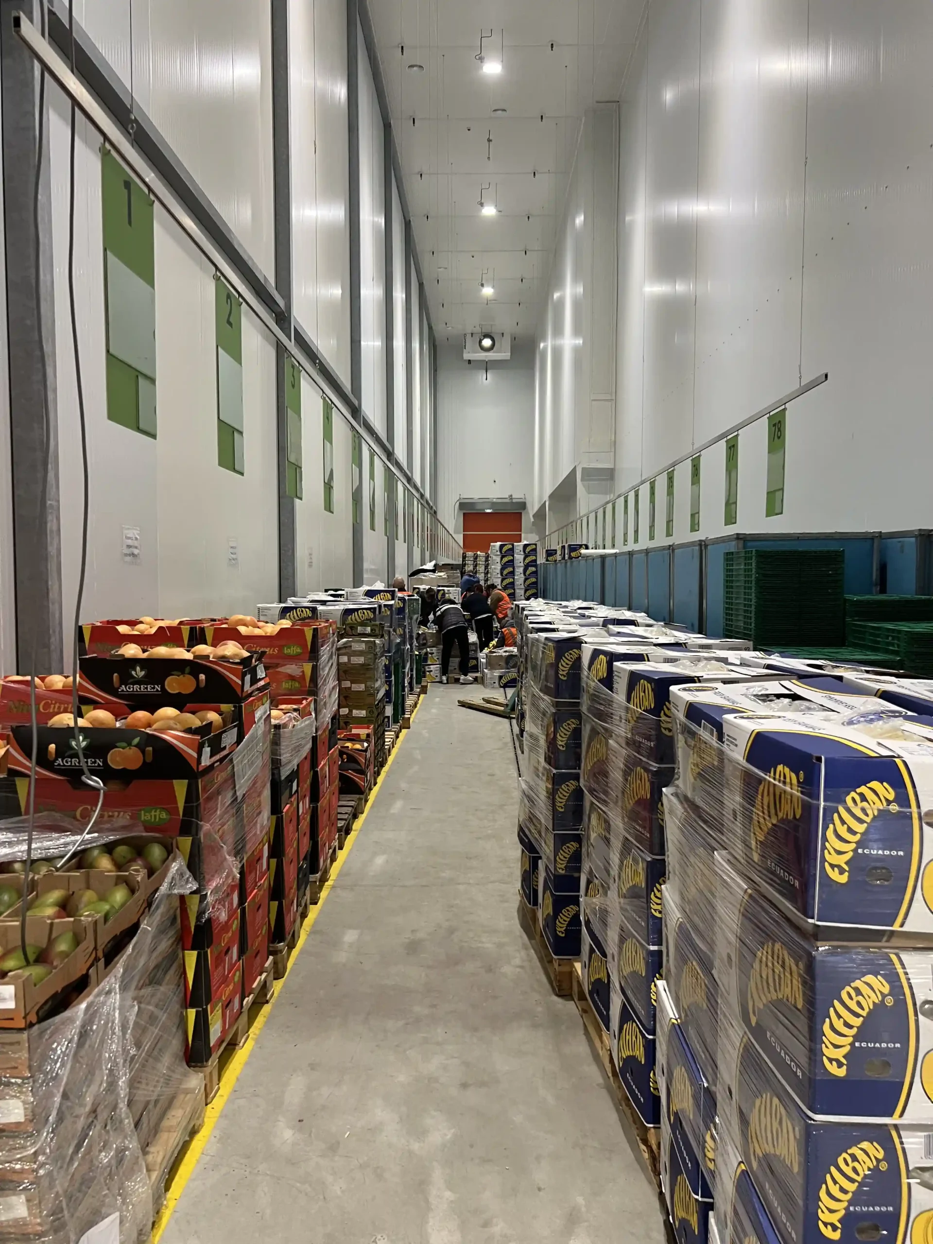Зберігання великих партій продукції в овочесховищі Зберігання великих партій продукції в овочесховищі NovaFrost